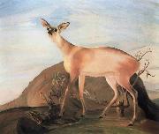 Kosztka, Tivadar Csontvry Deer oil painting artist